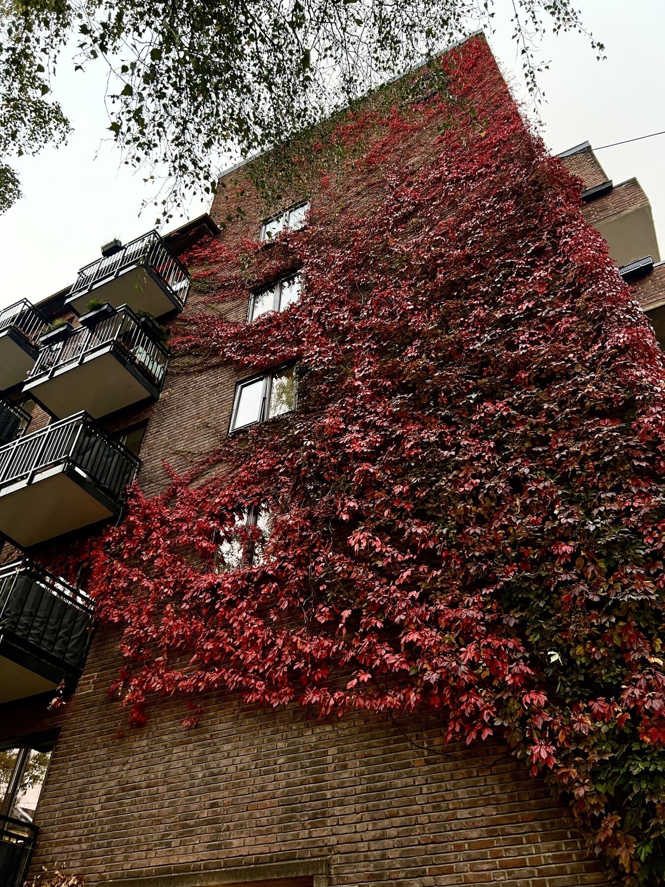 Vakre beplantninger langs byggets og leilighetenes fasade. (selgers private bilde) Galleribilde