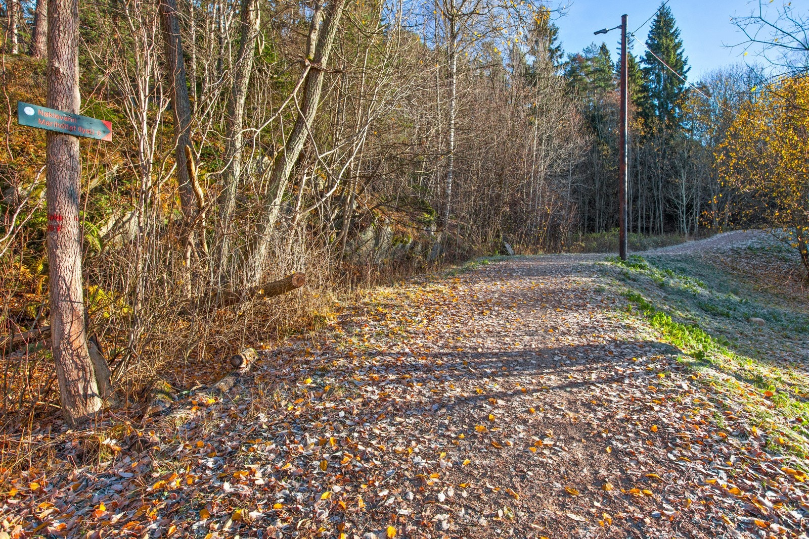 lysløype solfjellet Galleribilde