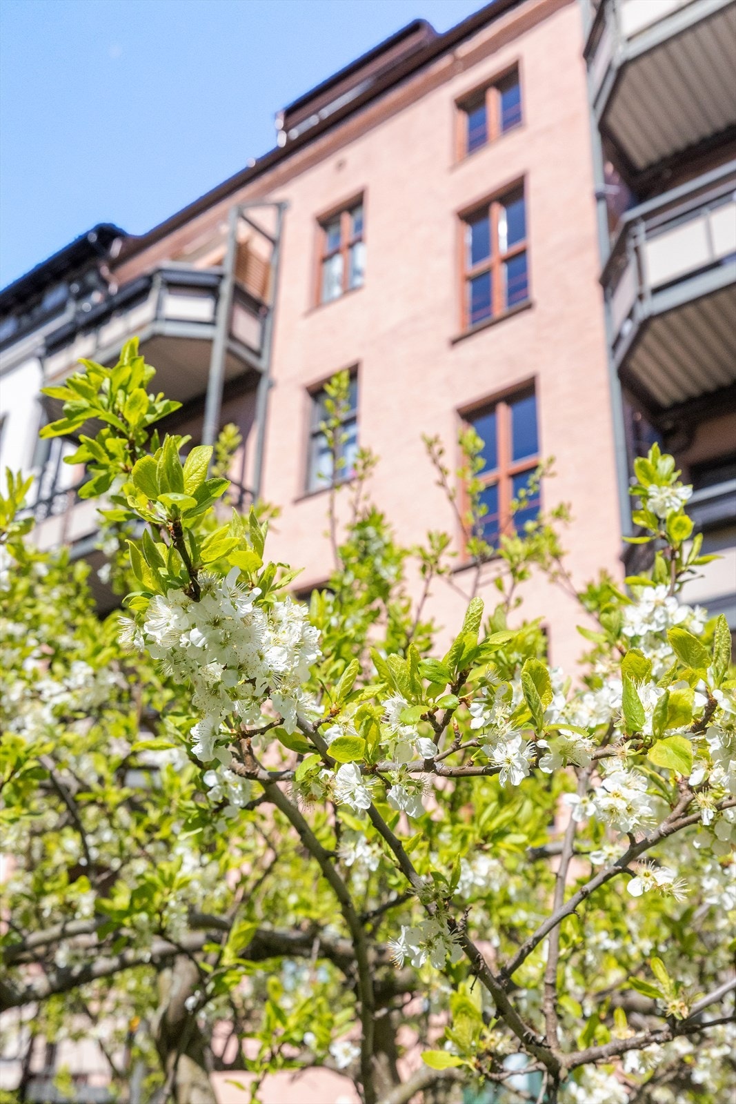 Sommerbilde. Galleribilde