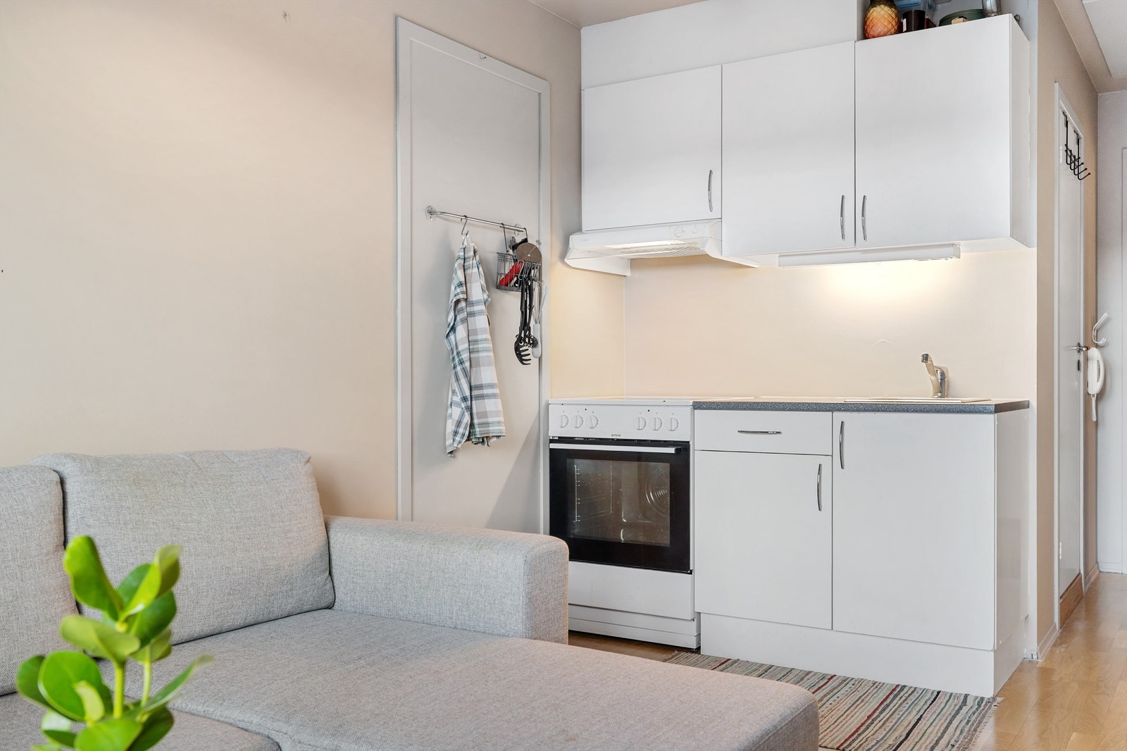 HYBEL: Selger har hatt kr 8.500,- pr mnd. i leieinntekter. Det er mulighet for å åpne opp mellom enhetene dersom man ønsker å ta i bruk hele leiligheten selv. Galleribilde