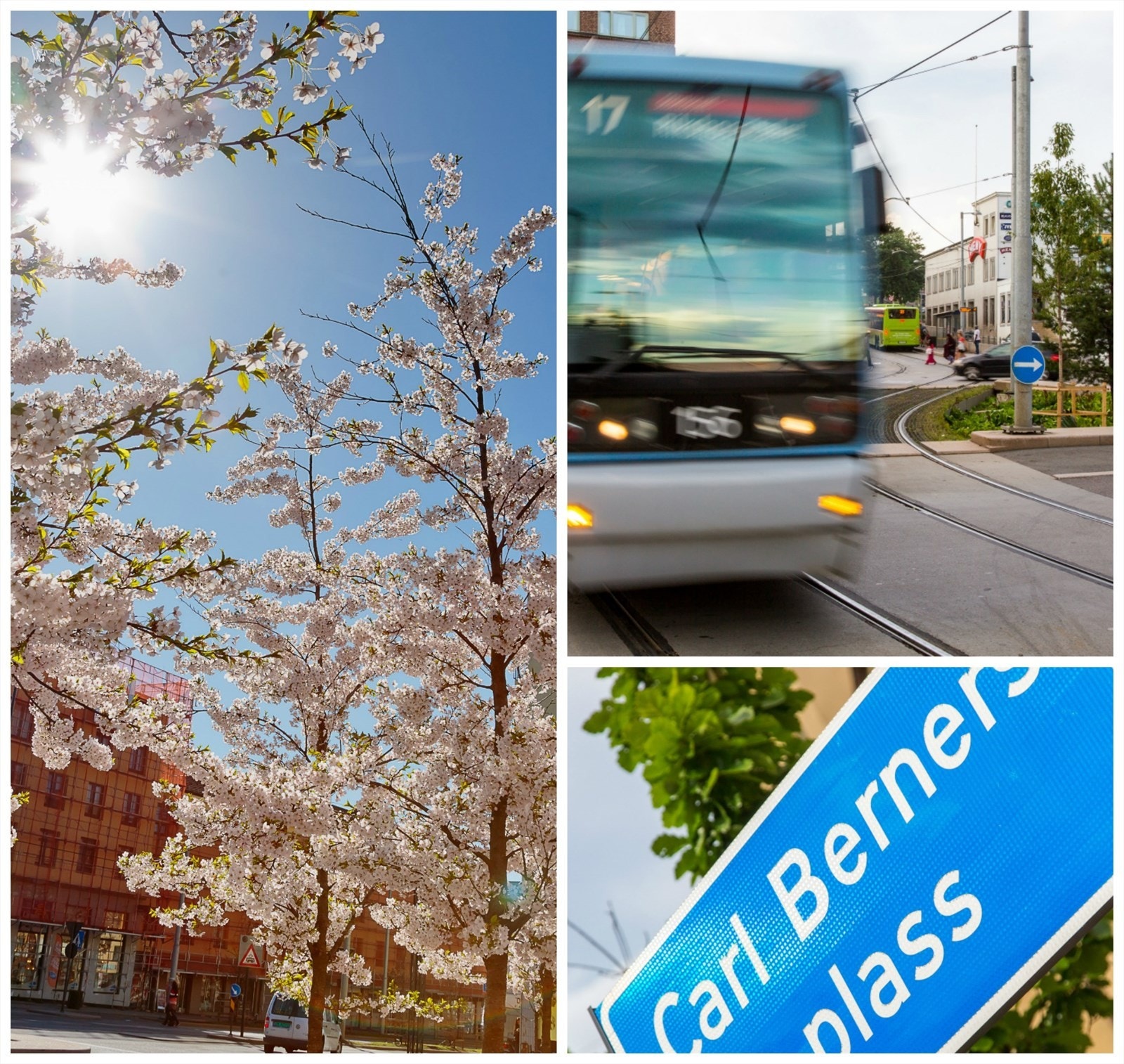 Trafikknutepunktet Carl Berners plass har i tillegg trikk- og busstilbud med ruter til de fleste deler av byen. Det gjelder også flybussen. I tillegg er det mulig å ta toget inn i Marka fra Tøyen stasjon. Galleribilde