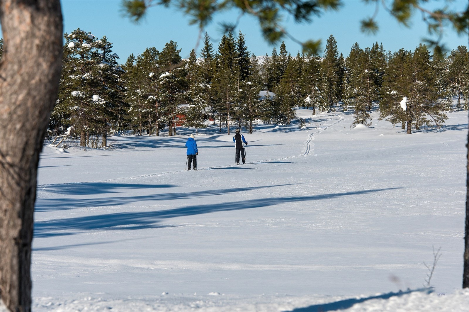 Skrim er kjent for sitt omfattende og velmerkede løypenett, som er åpent både sommer og vinter. Galleribilde