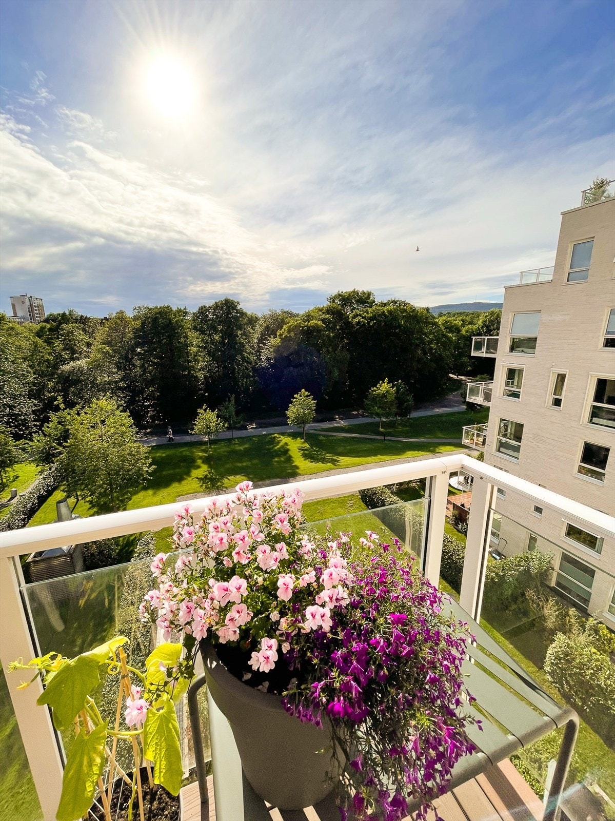 Selgers private bilder* Galleribilde