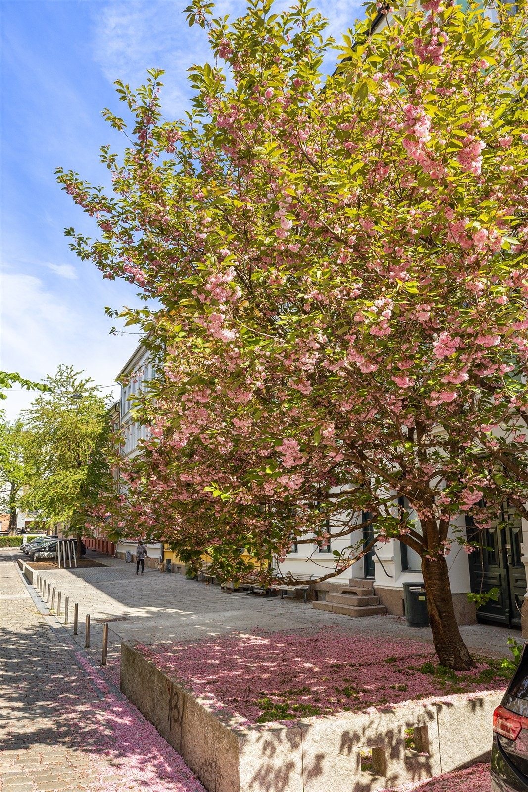 Det er også kort vei til Grünerløkka med sitt pulserende byliv, kaféer, butikker og utesteder, samt til Vulkan med Mathallen, konsertscene og flere restauranter. Galleribilde