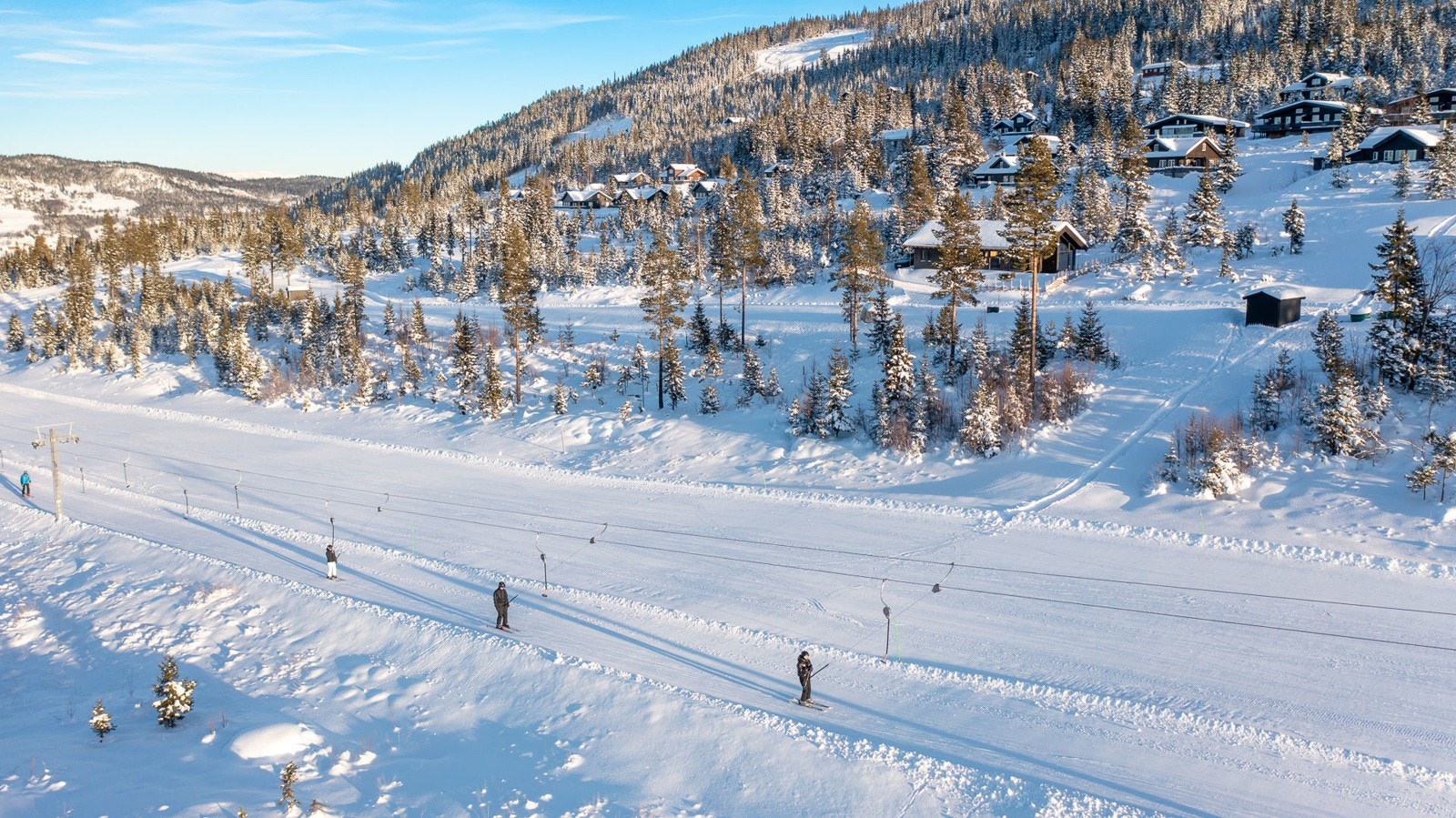 Nesfjellet Galleribilde