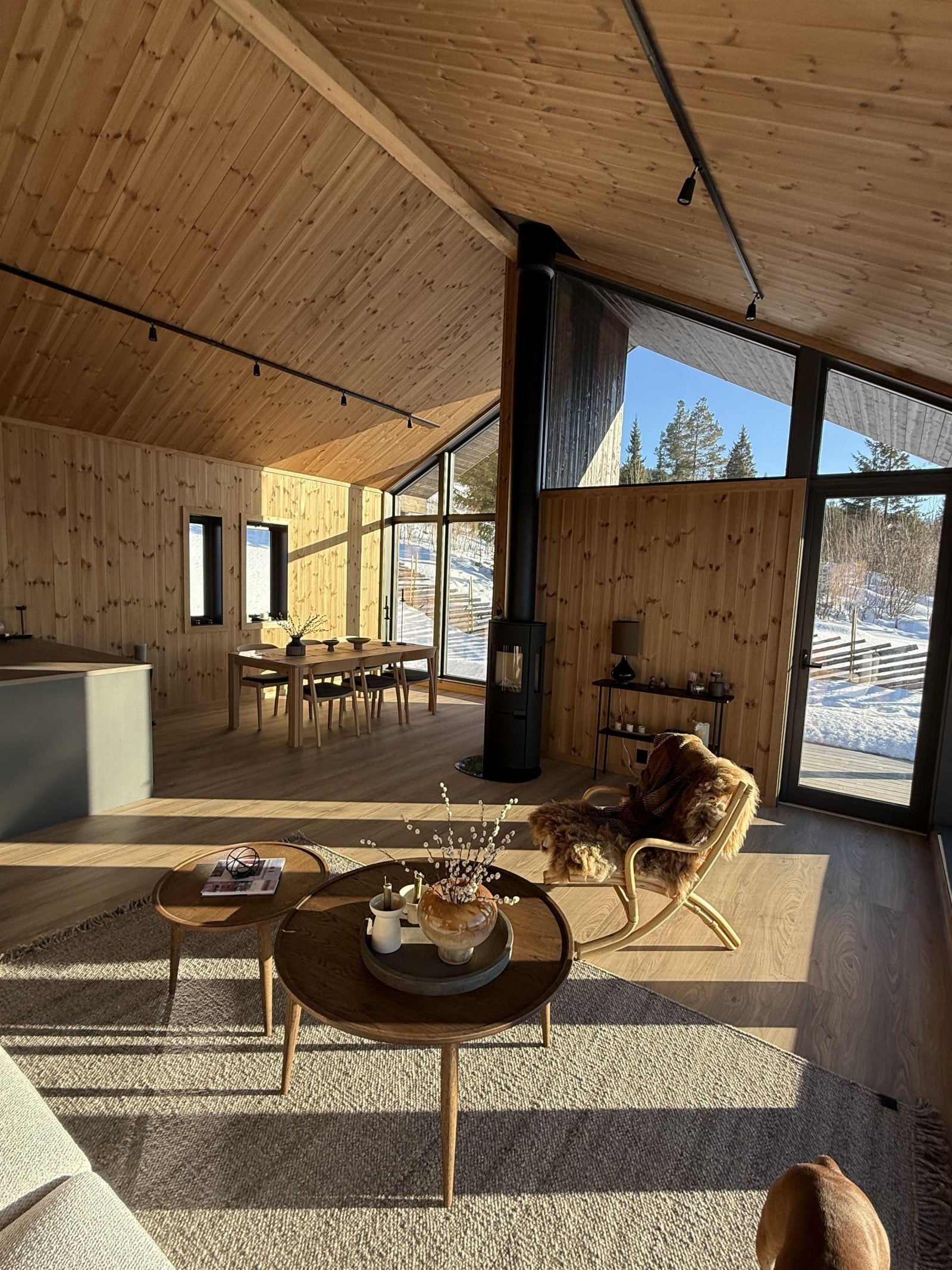 IMG_3845 Galleribilde