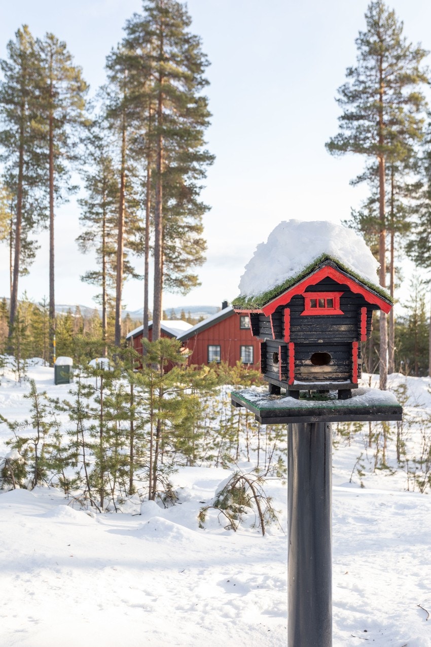 Koselig lite stabbur for fuglene. Galleribilde