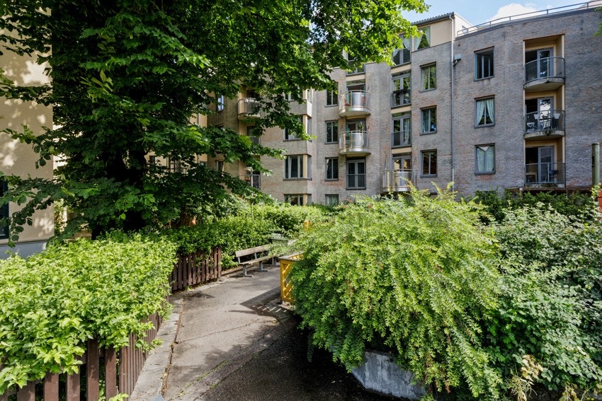 Felles tomt opparbeidet med blant annet: Asfaltert adkomst, trær, prydbusker og diverse beplantning. Galleribilde