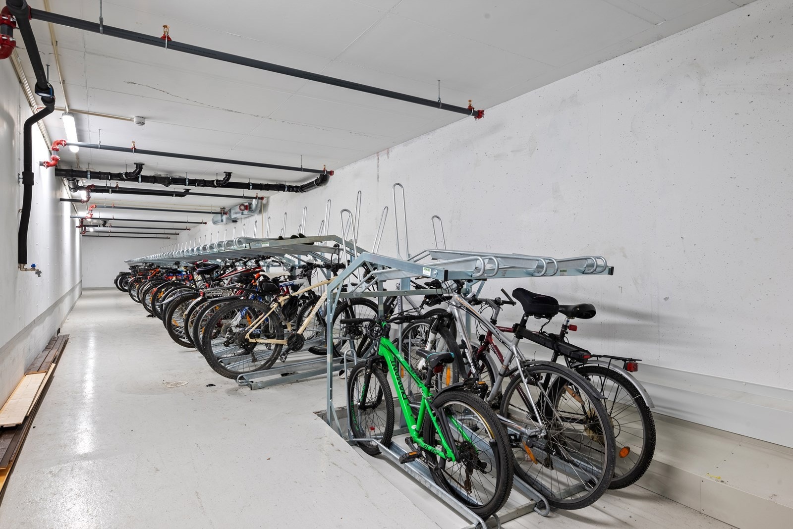 Sportsbod disponibelt i kjeller. Galleribilde