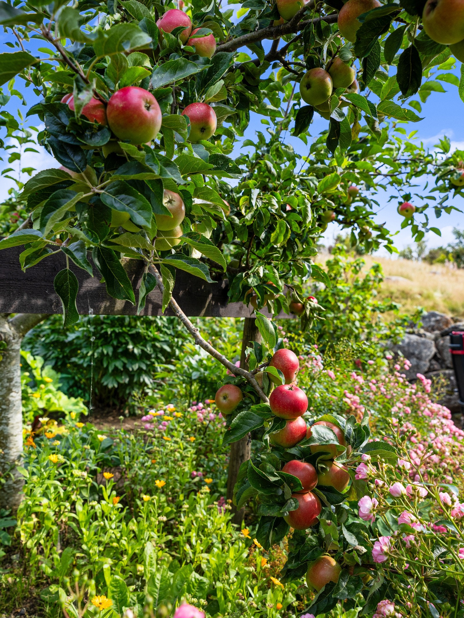 Detaljbilde. Galleribilde