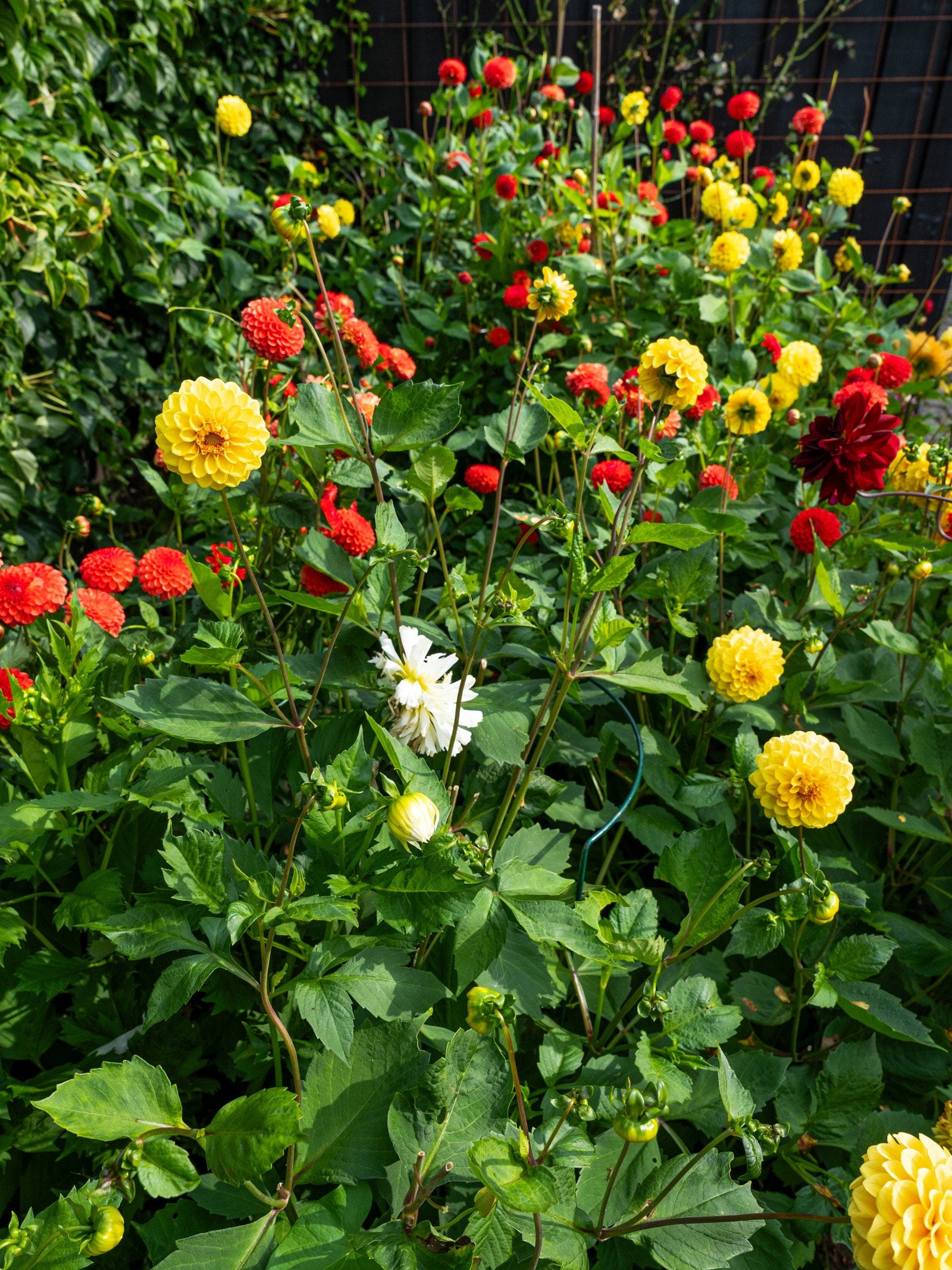 Detaljbilde. Galleribilde