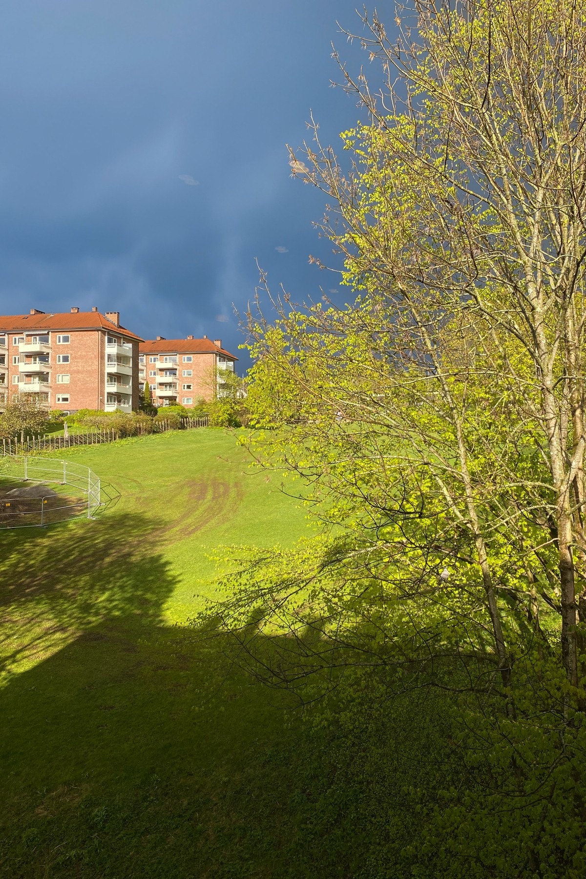 Idyllisk utsyn fra kjøkkenvindu mot Ola Narr parken. Galleribilde