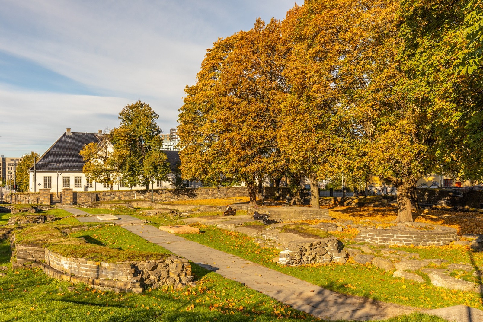 Nærområde. Galleribilde