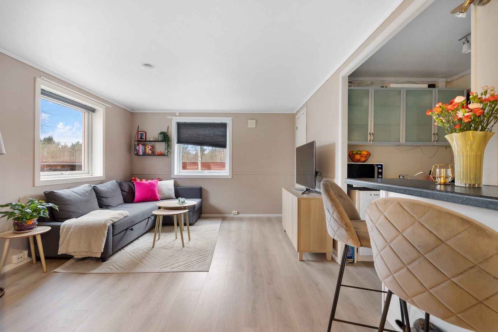 Stue i underetasje (del av hybel, ikke godkjent) Galleribilde