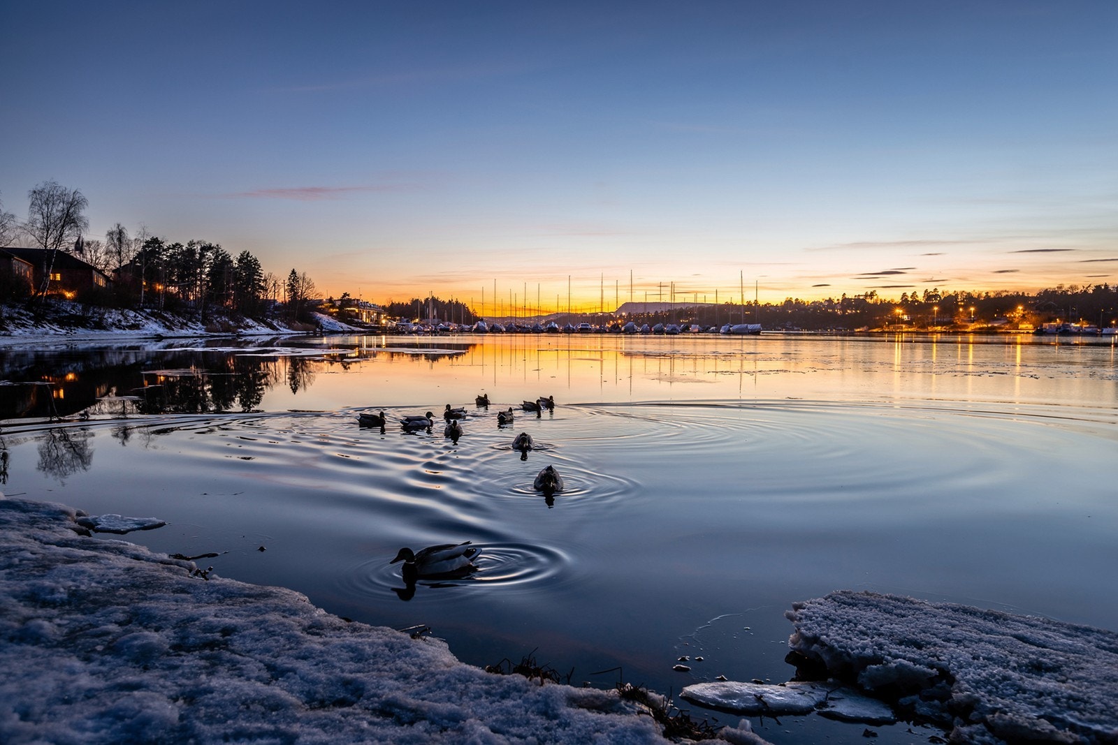 For deg som ønsker å bo i nærheten av sjøen, så er Fornebu perfekt. Det er også gangavstand til Oksenøya Marina. Galleribilde