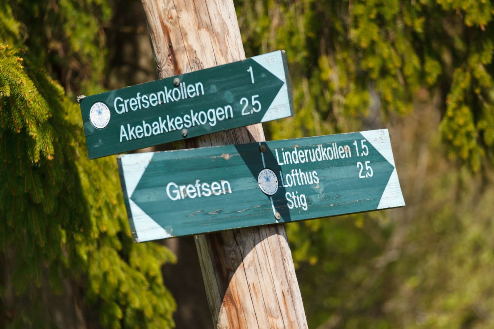 Kort vei til Lillomarka, med uendelige turmuligheter sommer som vinter! Galleribilde