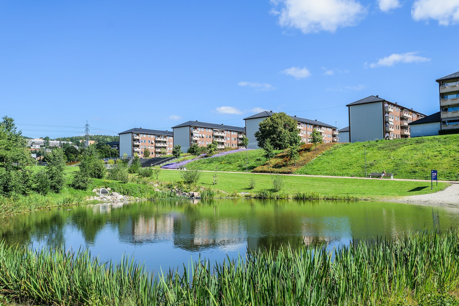 Kort vei til fantastiske Bjerkedalen Park! Galleribilde