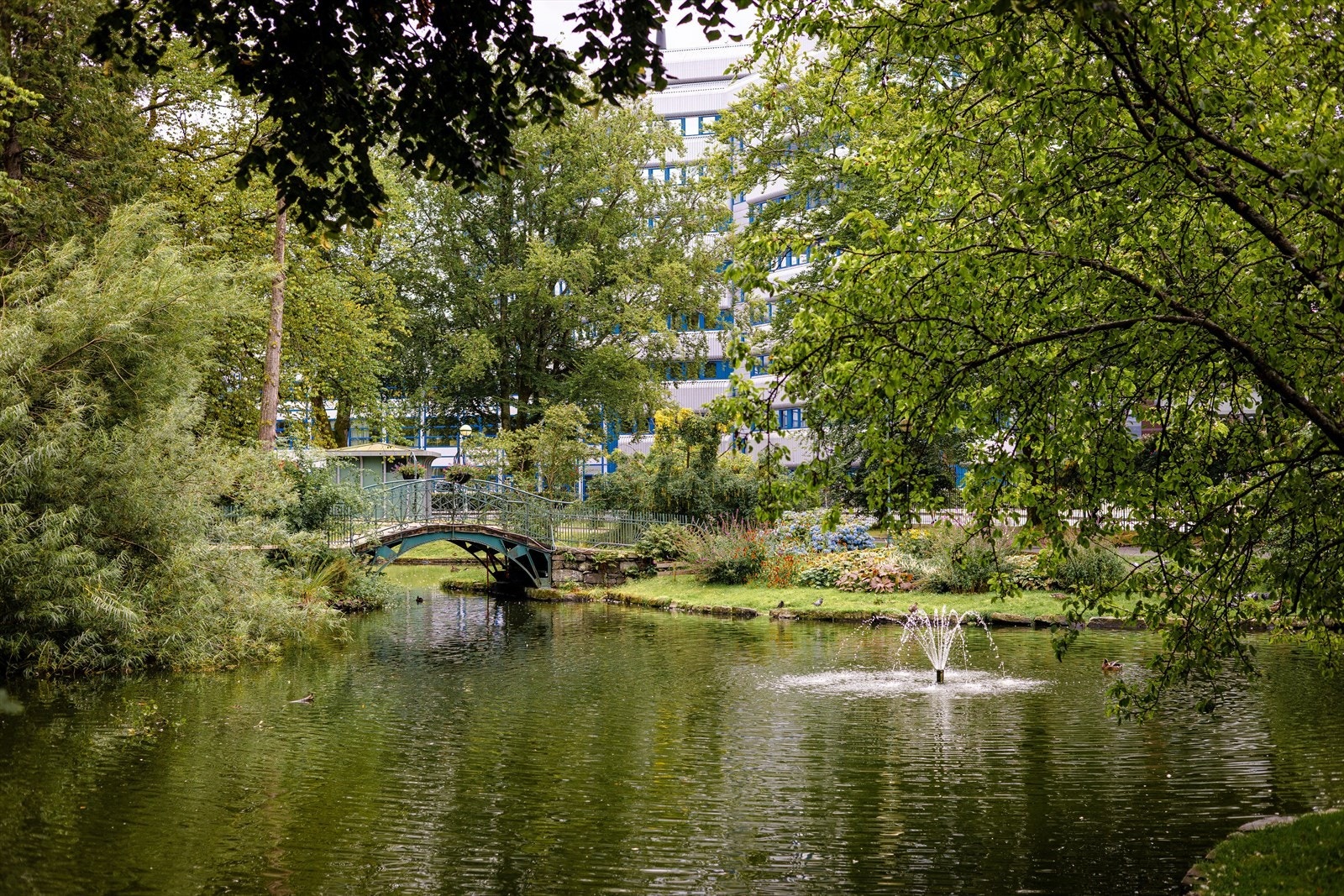 Nærområde Galleribilde