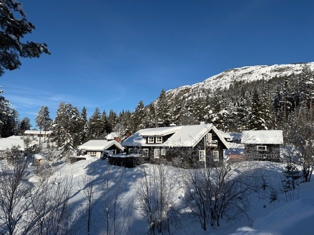 Hytta på vinterstid. Galleribilde
