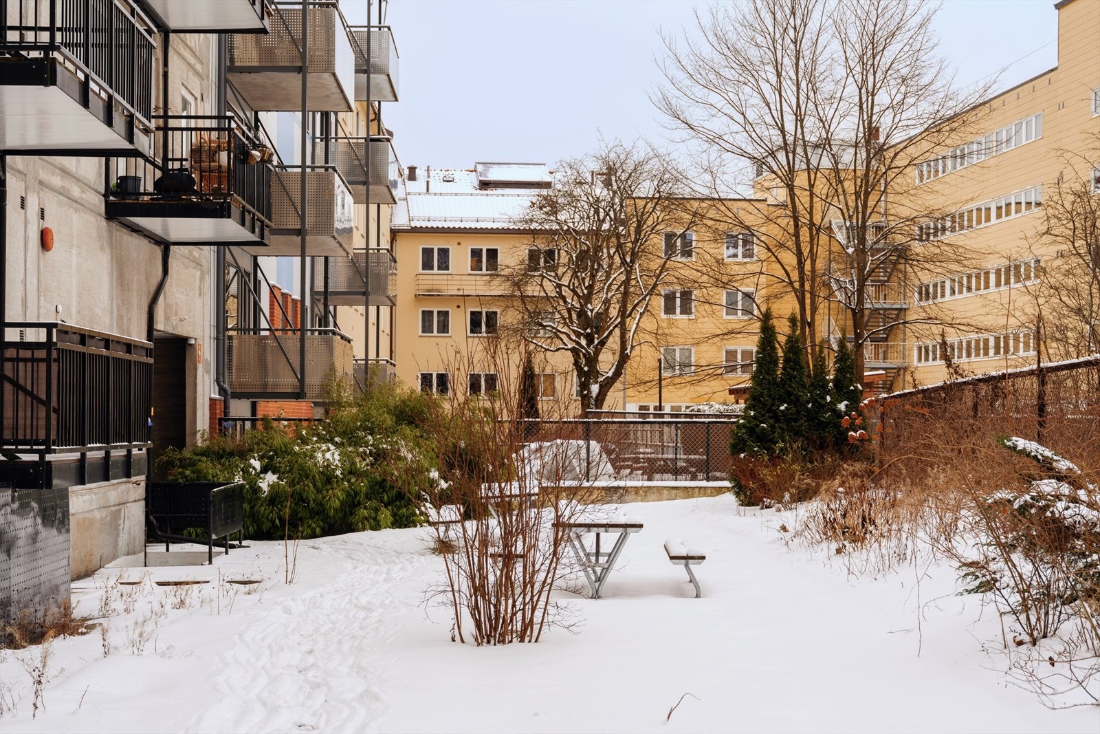 Hyggelig lukket bakgård med flere sittegrupper, plen, busker og beplantning. Galleribilde