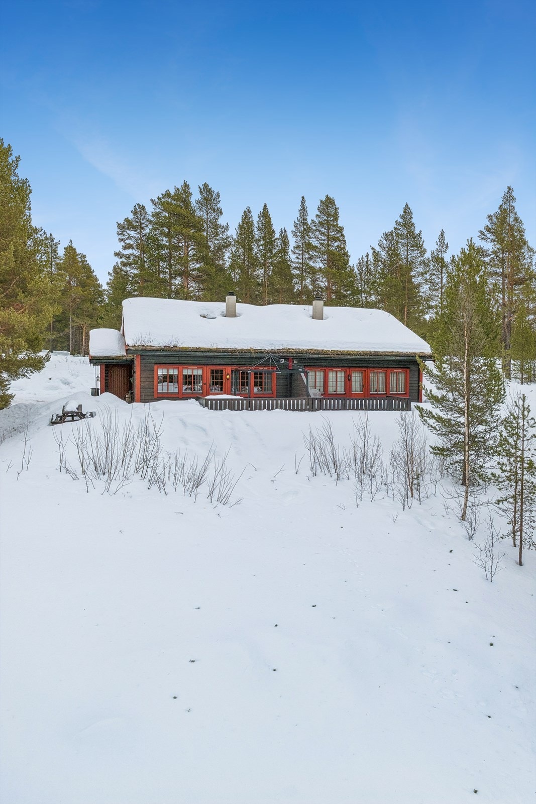 Velkommen til Savalodden 53! Foto: Martin Rindalsholt for Efkt Galleribilde