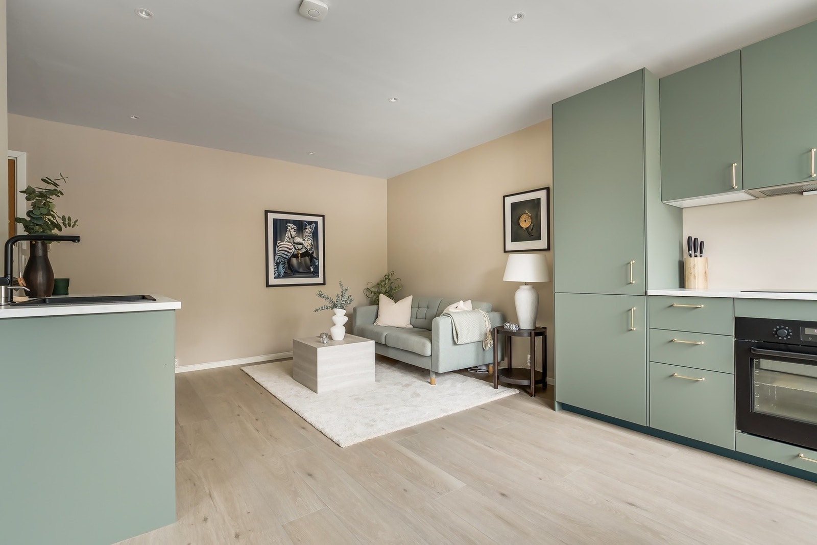 God plass til sofa og øvrig møblement Galleribilde