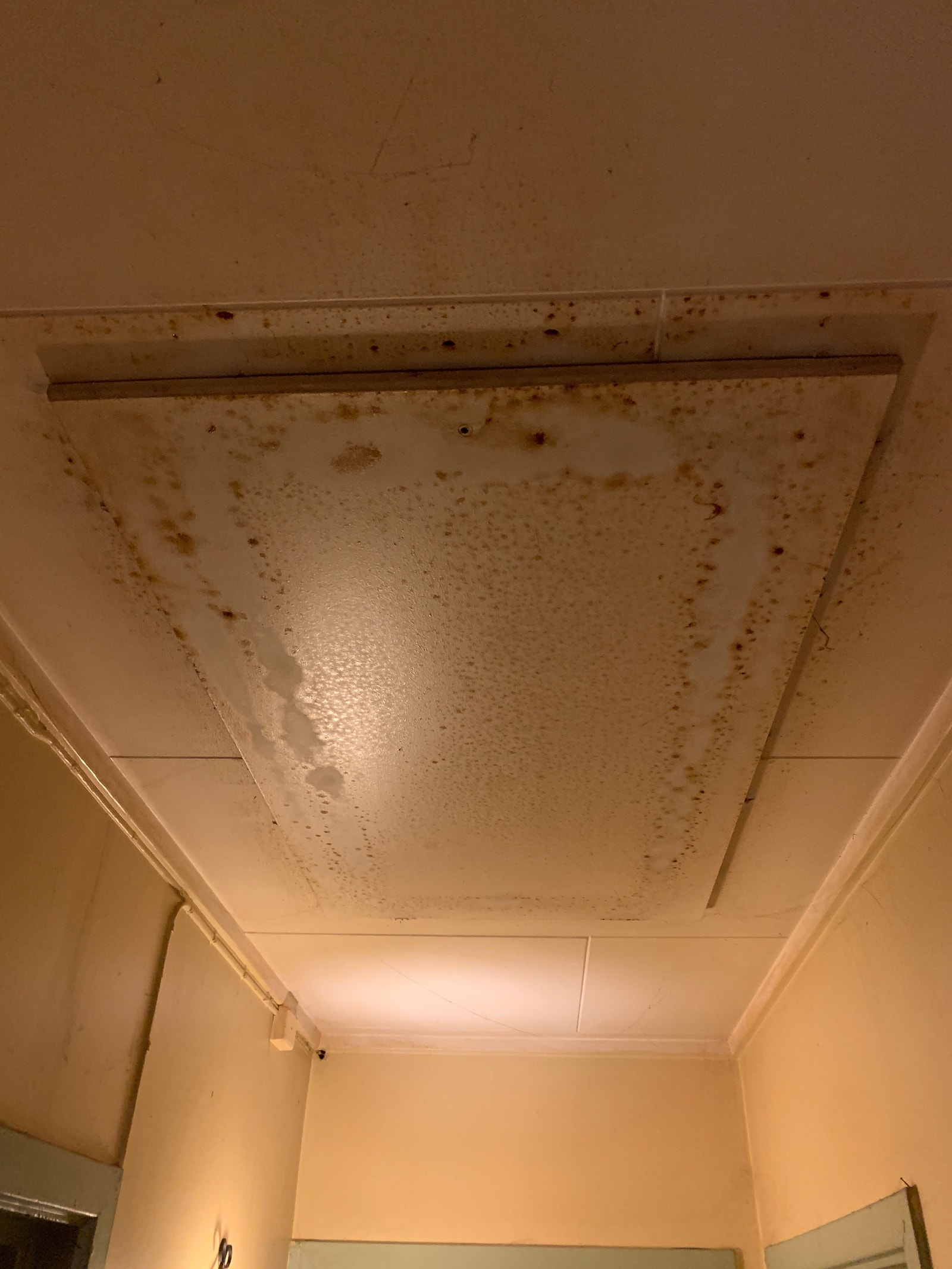 Luke til kaldloft. Galleribilde