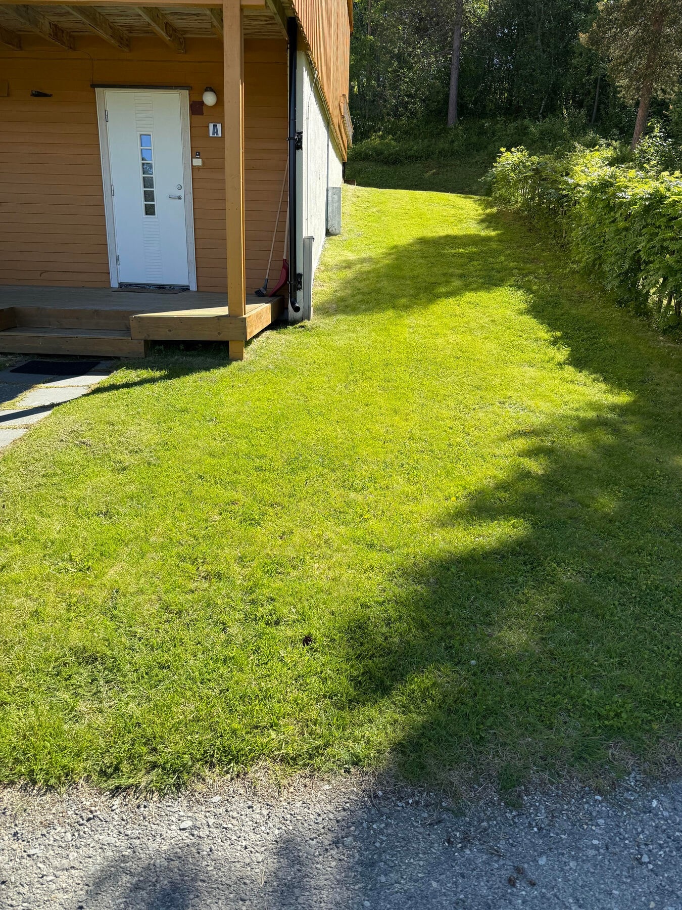 Privat foto. Galleribilde