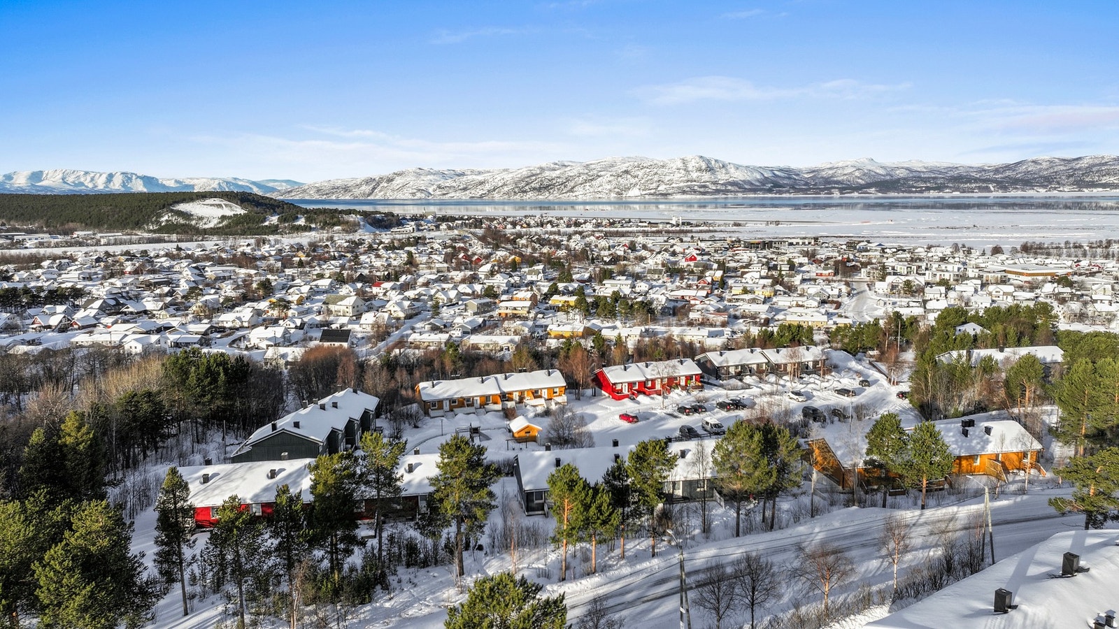 Velkommen på visning! Galleribilde