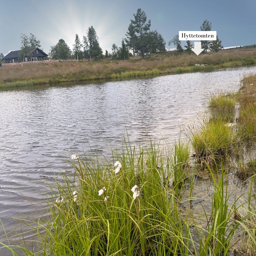 Plassering rett ved vannet. Galleribilde