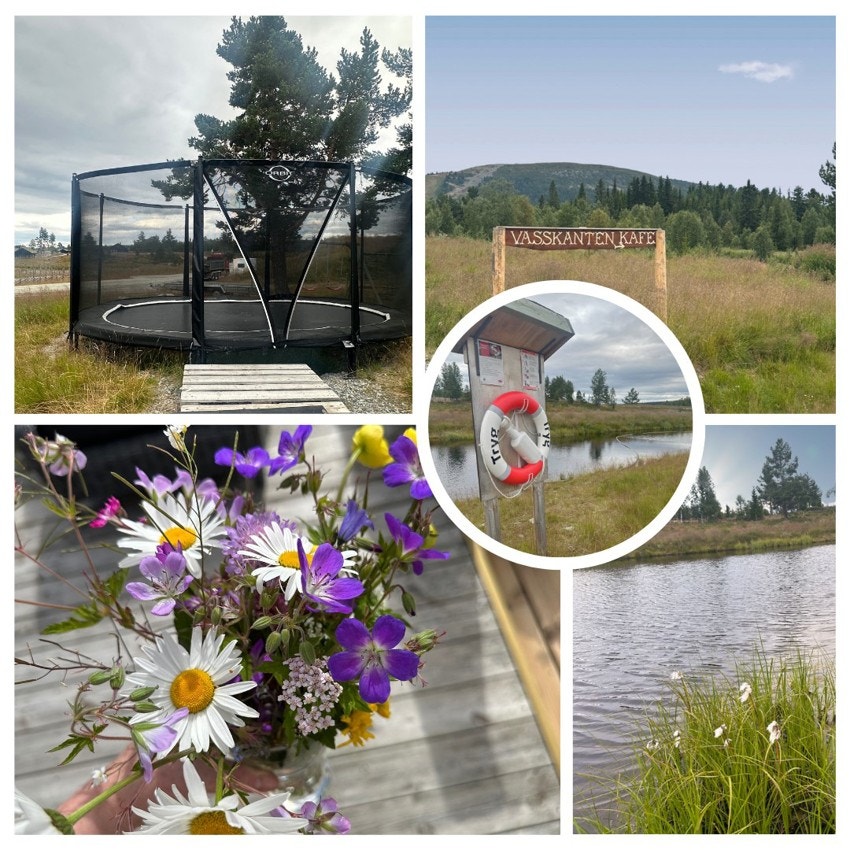 Selgers private bilder. Galleribilde