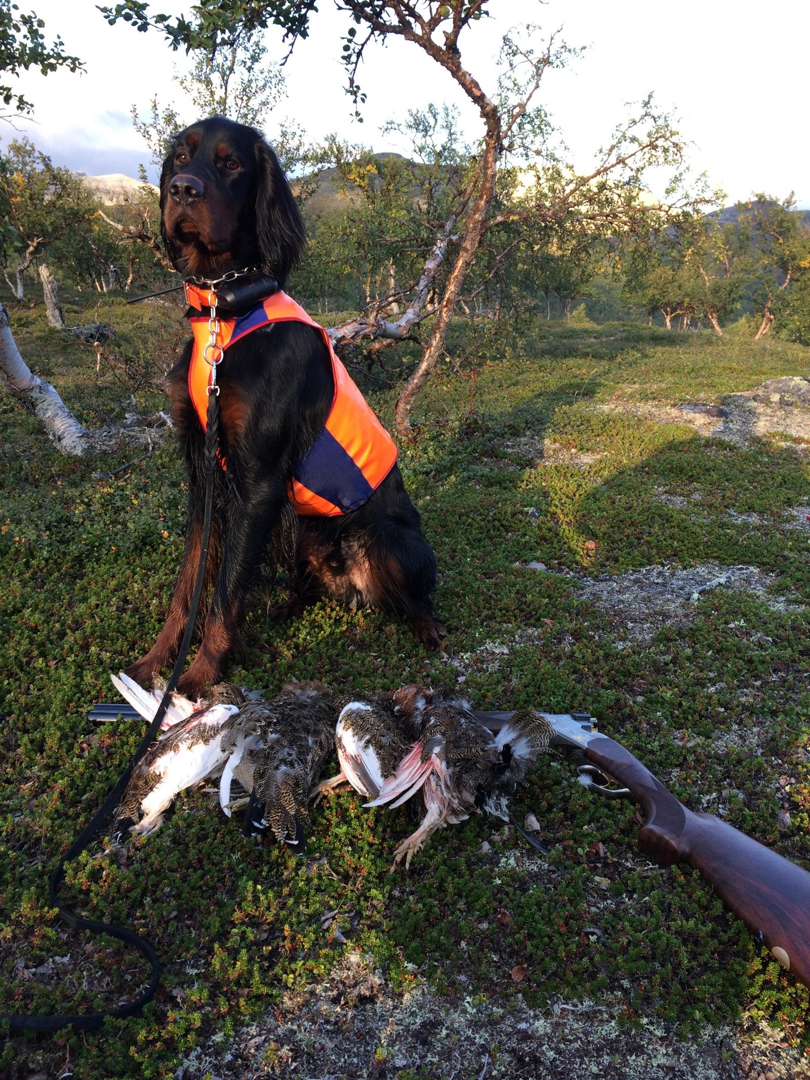 Gode muligheter for jakt og fiske på Golsfjellet Galleribilde