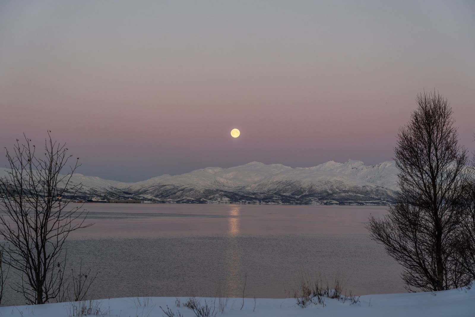 Fine turområder langs havet ikke langt fra eiendommen. Galleribilde