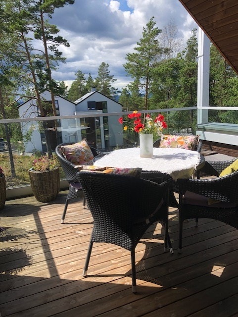 Selgers private bilder. Galleribilde