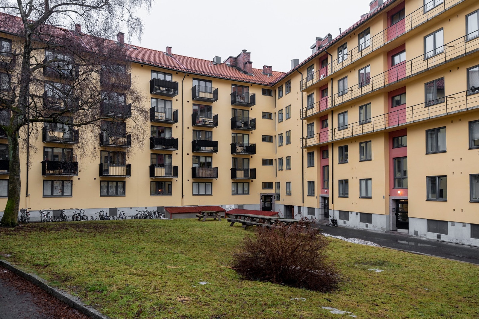 Felles tomt opparbeidet med blant annet internstier, sykkelstativer, sittebenker, plenarealer og diverse beplantning. Galleribilde