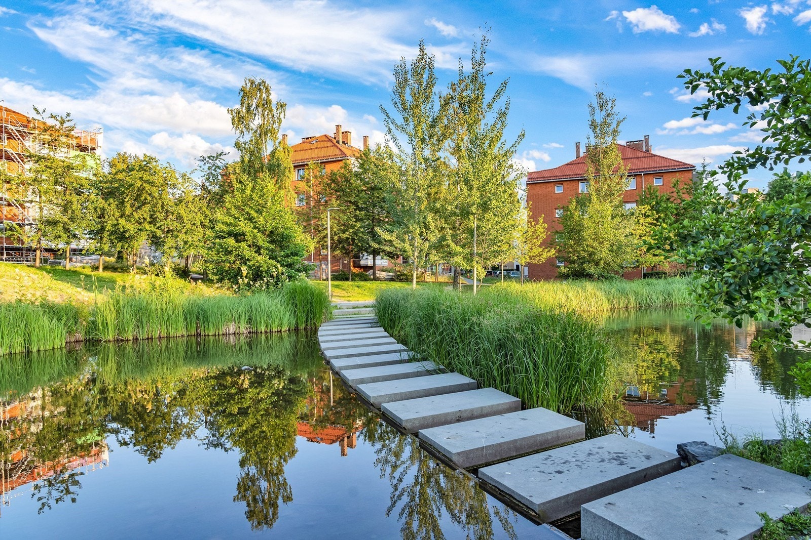 Hyggelig vei opp mot Hovin og andedammen fra Teglverksdammen og Hasle Torg Galleribilde