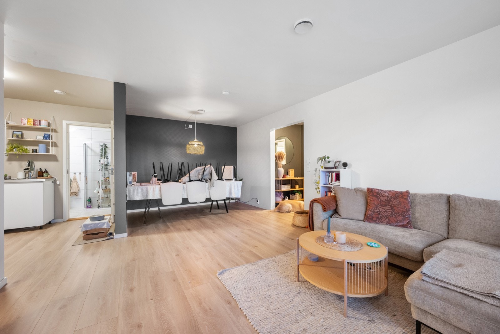 20260206-DSC_2744 Galleribilde