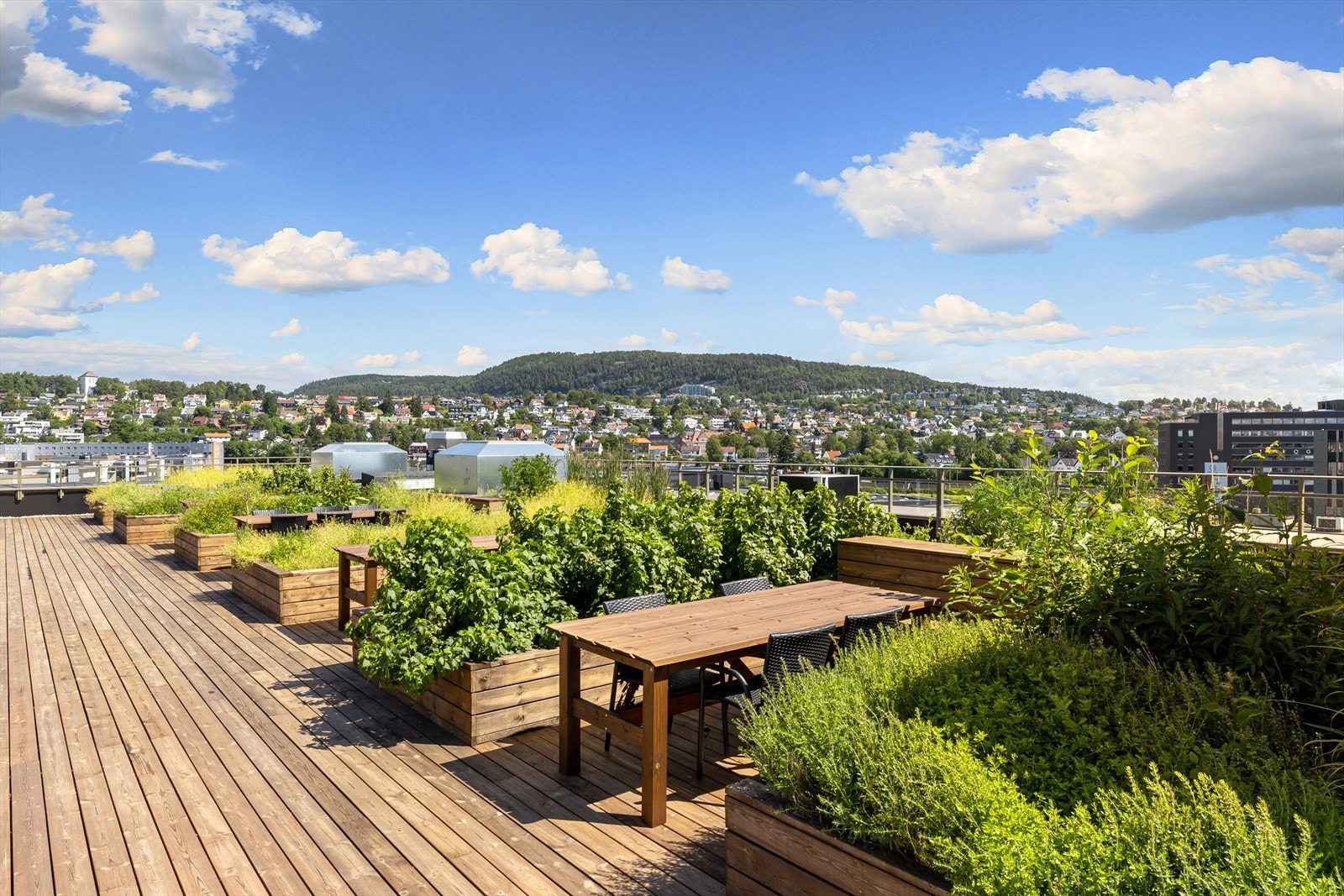 Stor felles takterrasse for beboerne i sameiet. Sameiet har hele 5 felles takterrasser som kan brukes av beboerne. Fotograf av takterrasse og sommerbilder: Haakon Brox. Galleribilde