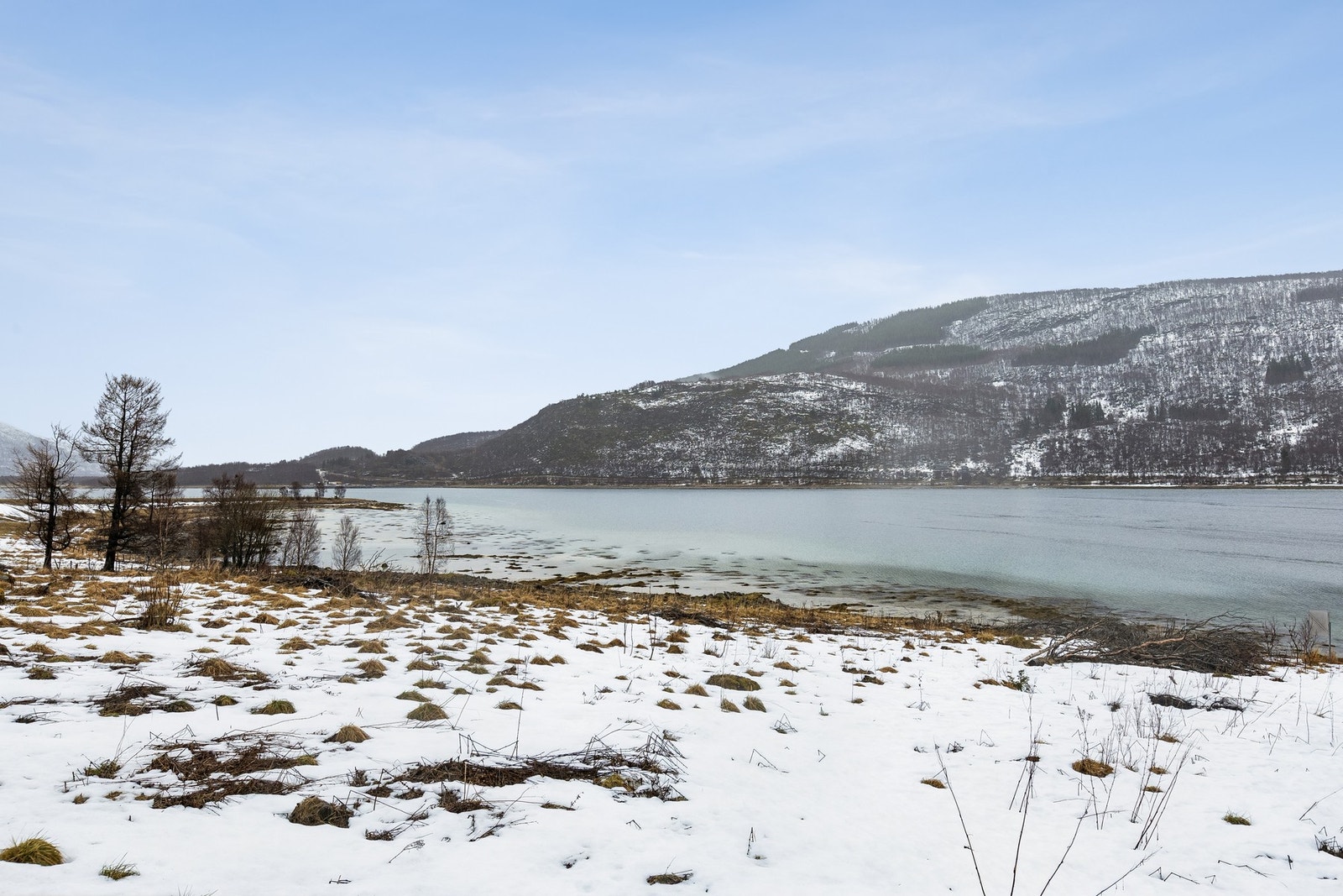 En del av tomten på nedsiden av veien. Galleribilde