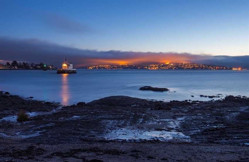 Bygdøylund har et fatastisk felles hageanlegg - her med utsikt mot Dyna fyr og Nesodden. Galleribilde