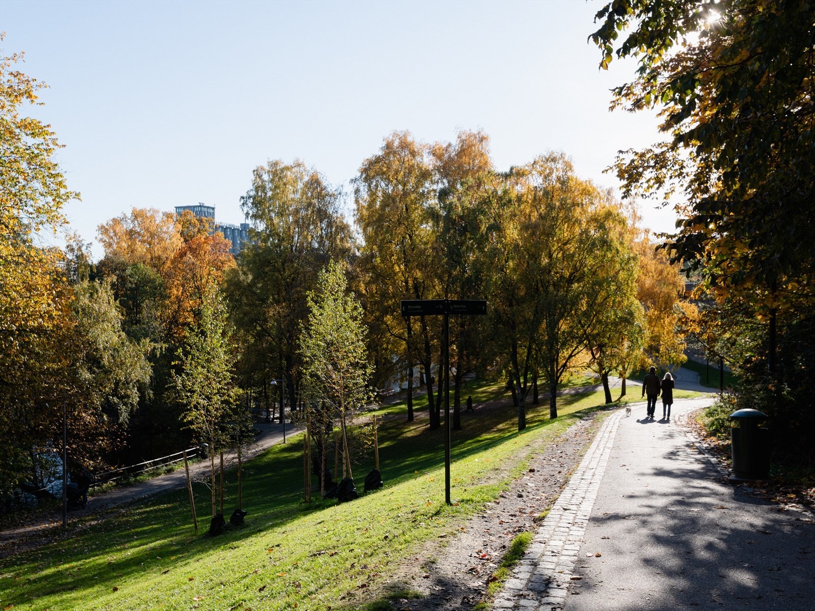 Nærområdet. Galleribilde