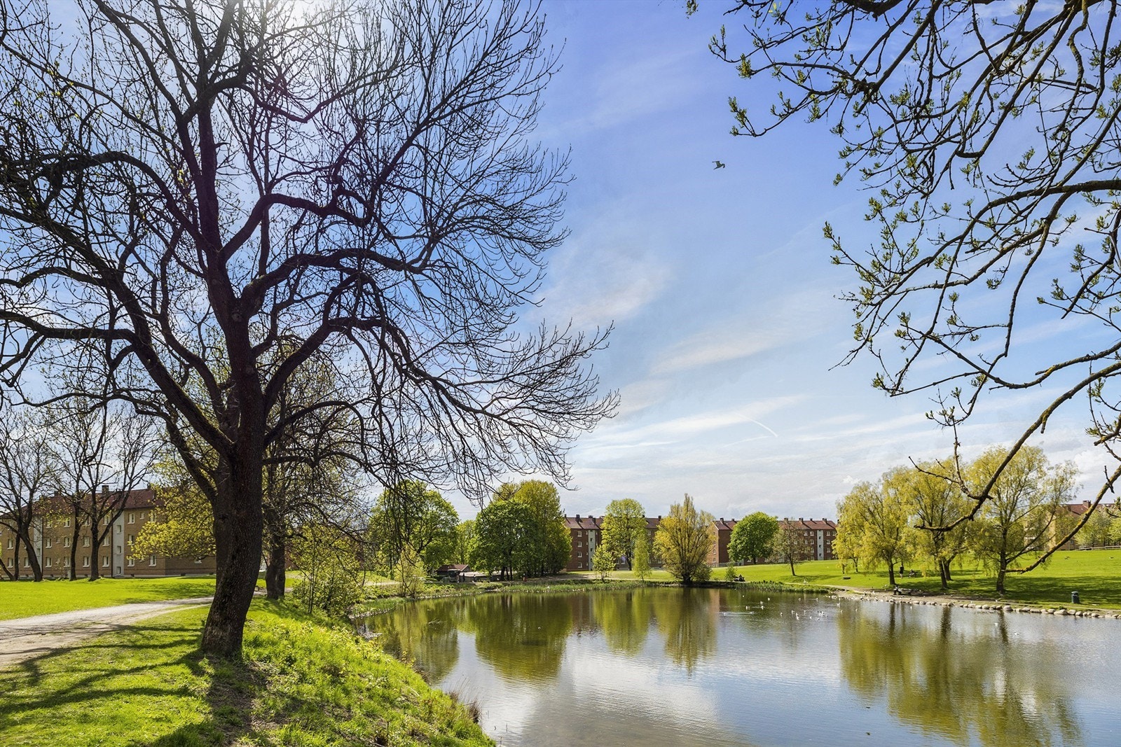 Ellers er det flotte turområder i nærheten og gangavstand til Jordal, Kampen, Tøyenparken med nye Tøyenbadet og Botanisk hage Galleribilde