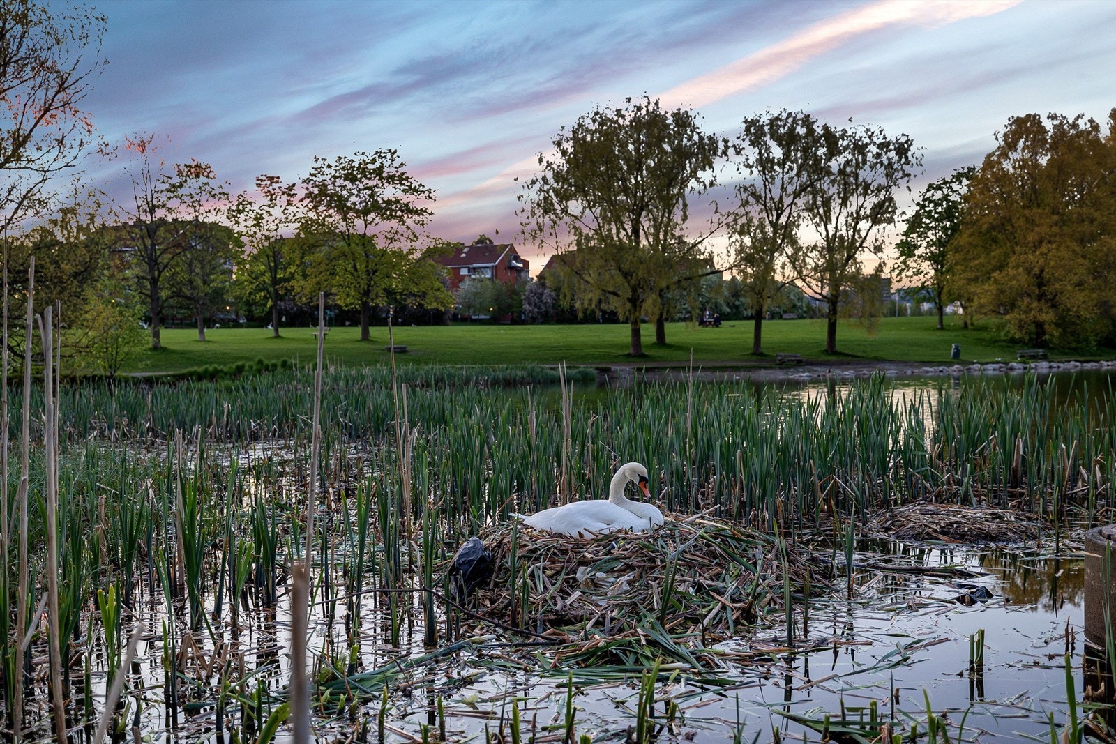 Her finnes den idylliske Hovindammen med svaner og ender, lekeplasser, fotballbane, tennisbane og skøytebane på vinterstid m.m. Galleribilde