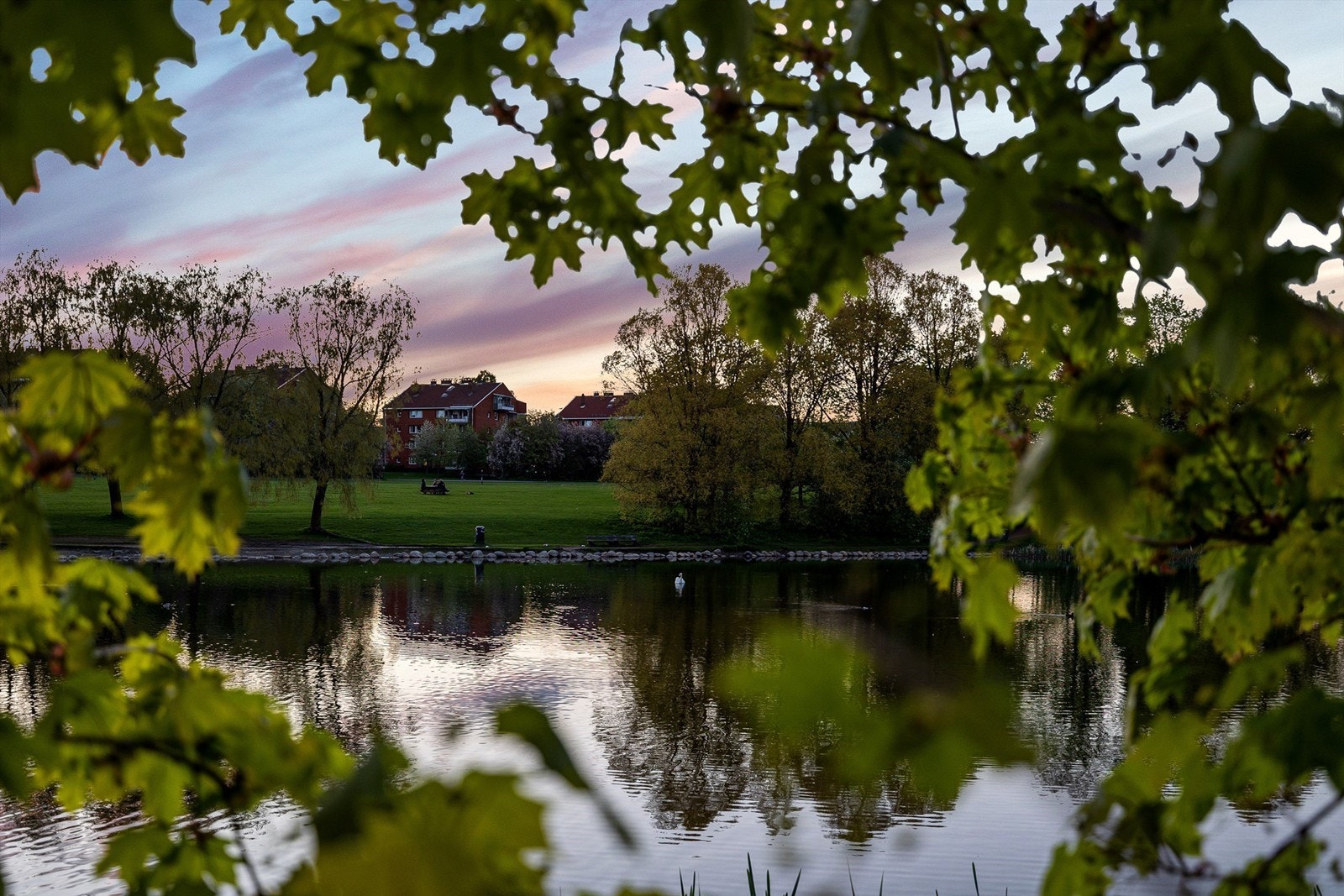 En av borettslagets nærmeste naboer er de store, flotte grøntområdene på Valle Hovin Galleribilde