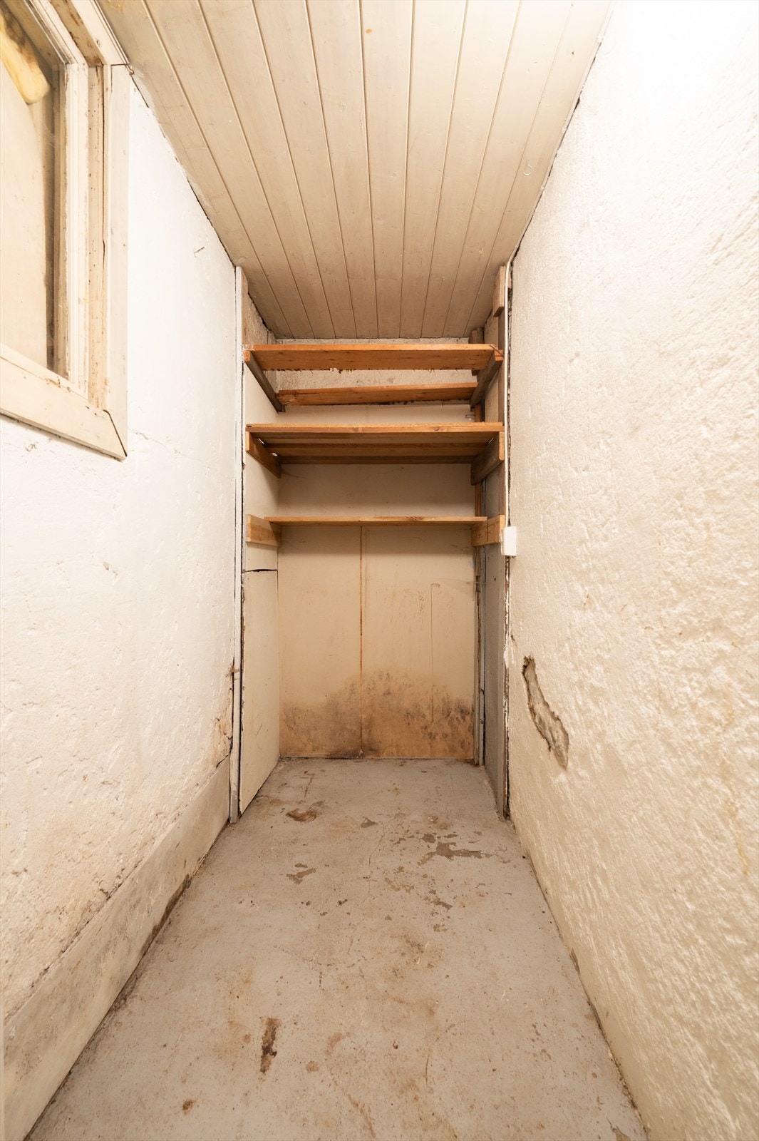 Bod. Galleribilde