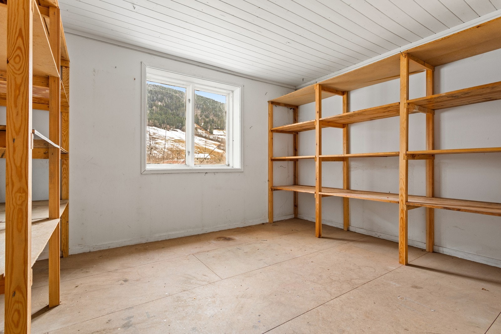 Bod. Galleribilde