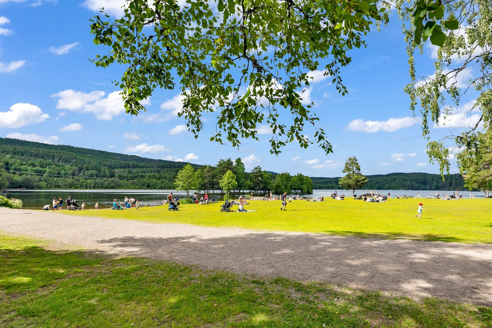 Solvang kolonihager og Gaustadskogen ligger i umiddelbar nærhet og er og er ypperlig for ettermiddags- og søndagsturer. Galleribilde