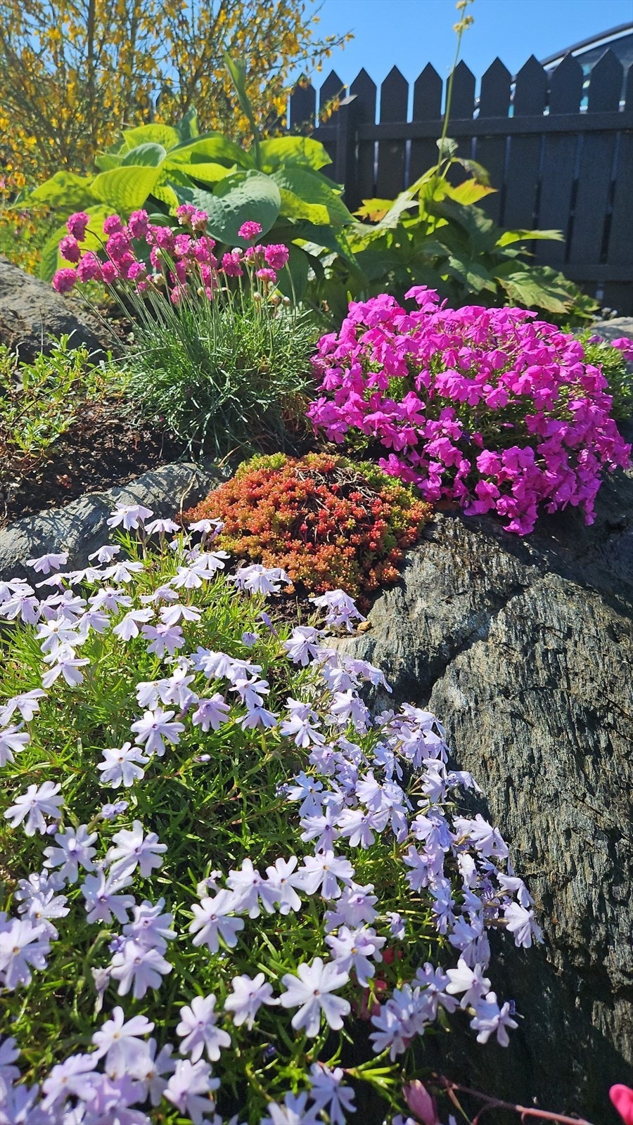 Bilde tatt av selger. Galleribilde