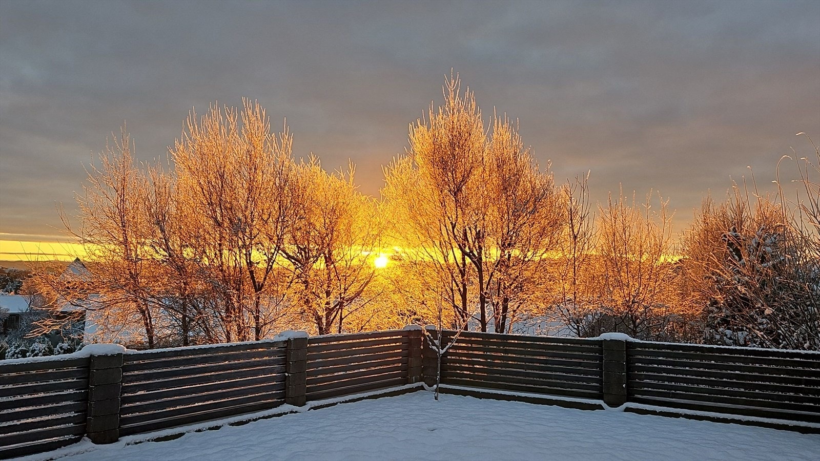 Bilde tatt av selger. Galleribilde