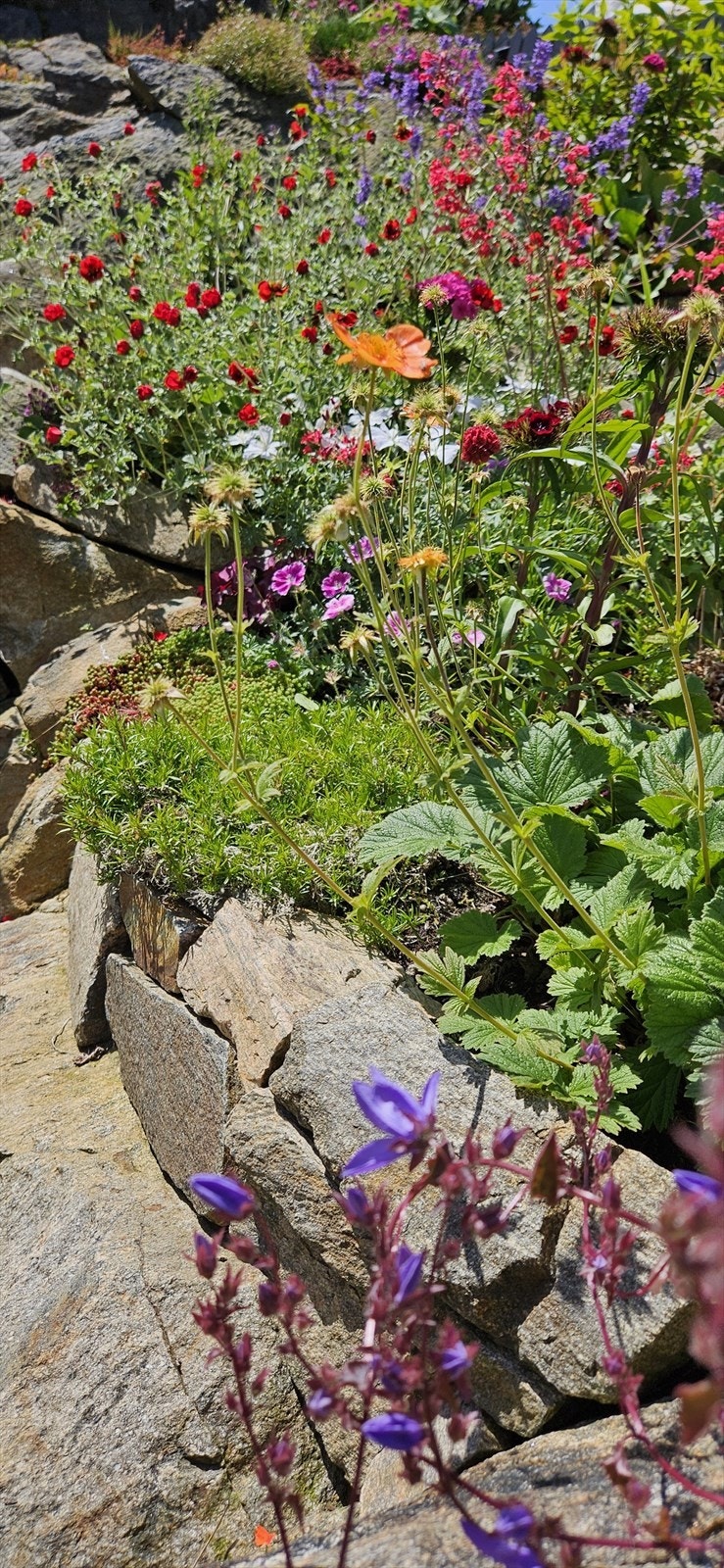 Bilde tatt av selger. Galleribilde